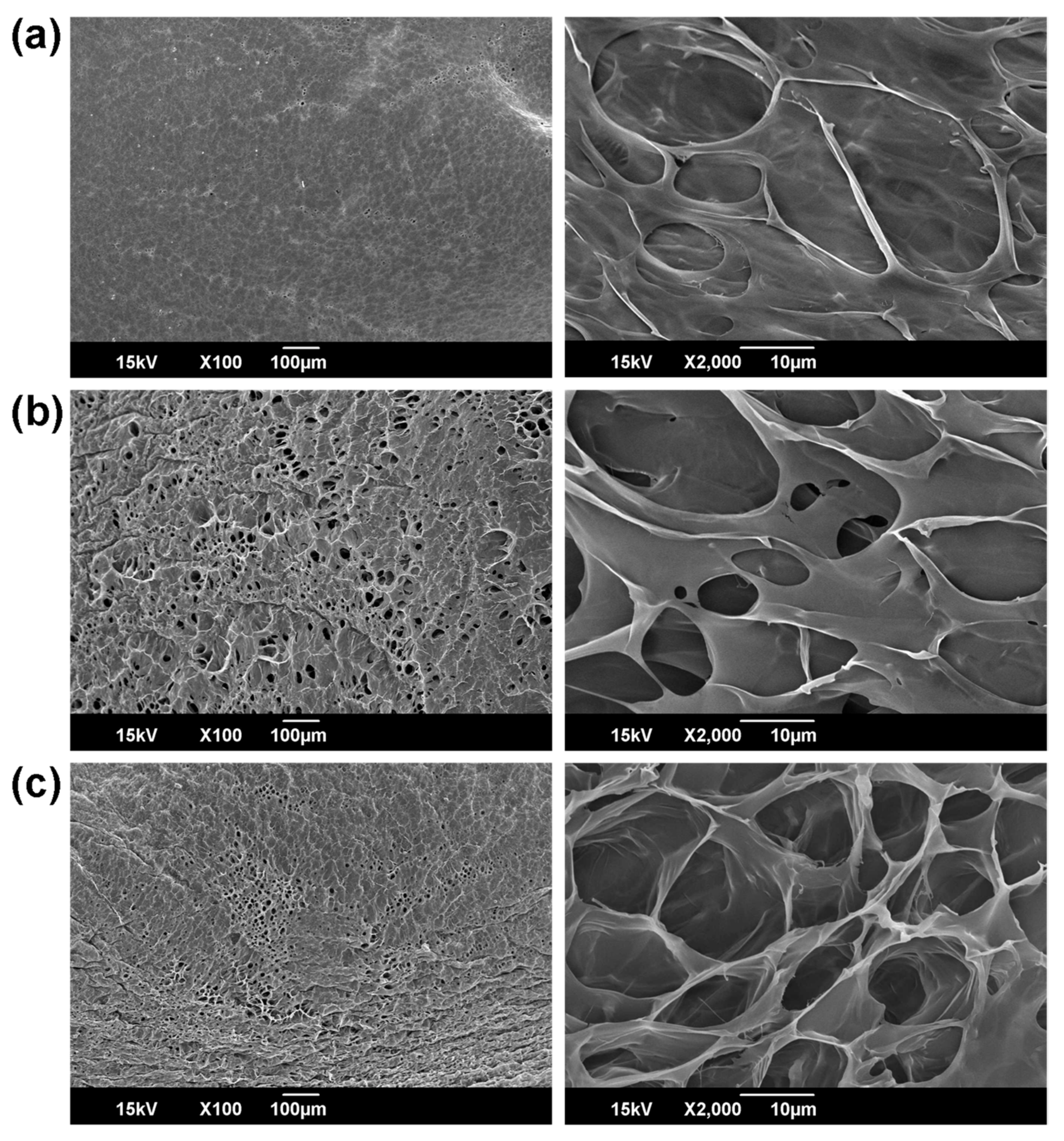 Materials 15 07128 g006 Materials 15 07128 g006
