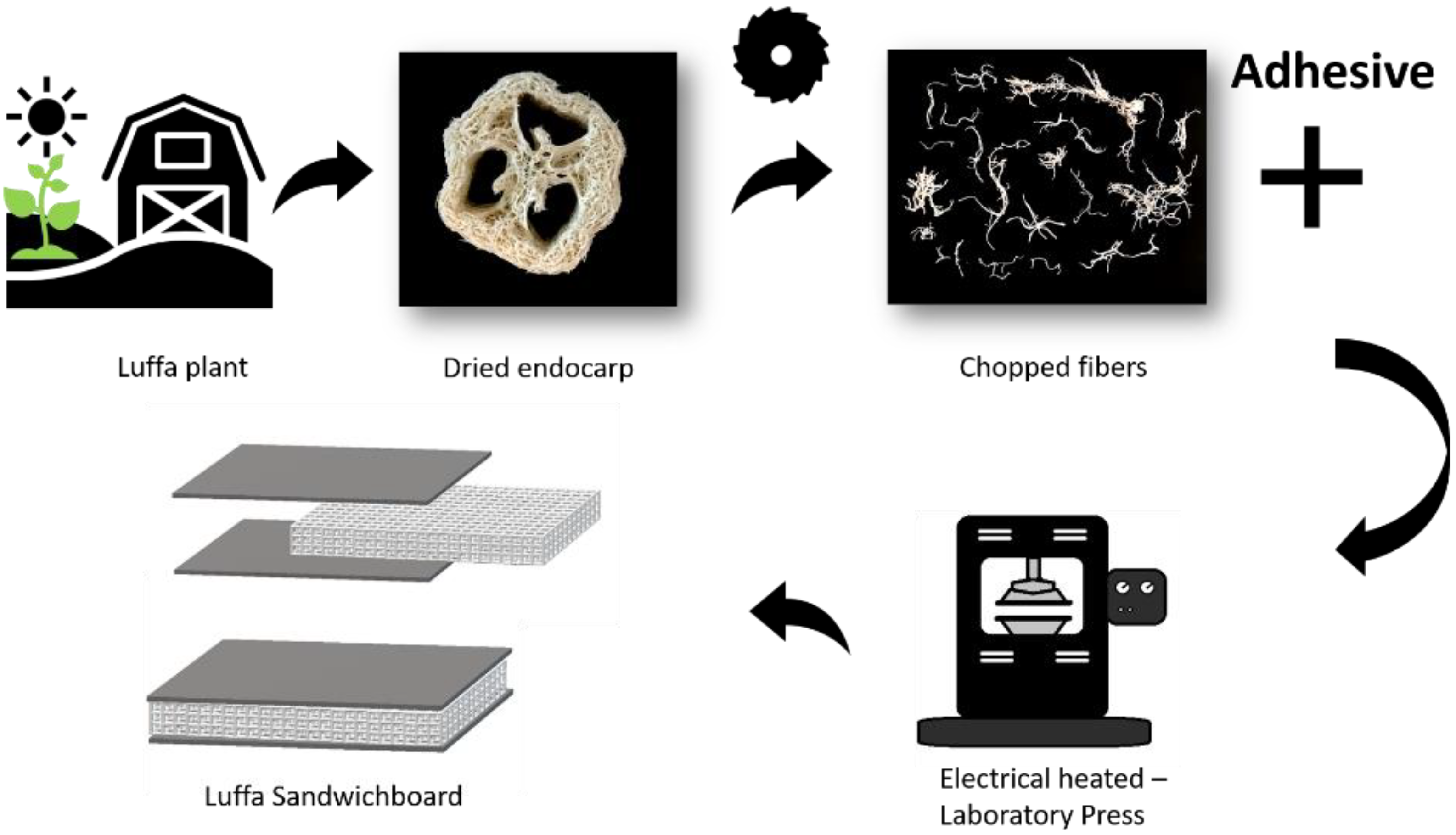 Materials 15 07129 g001