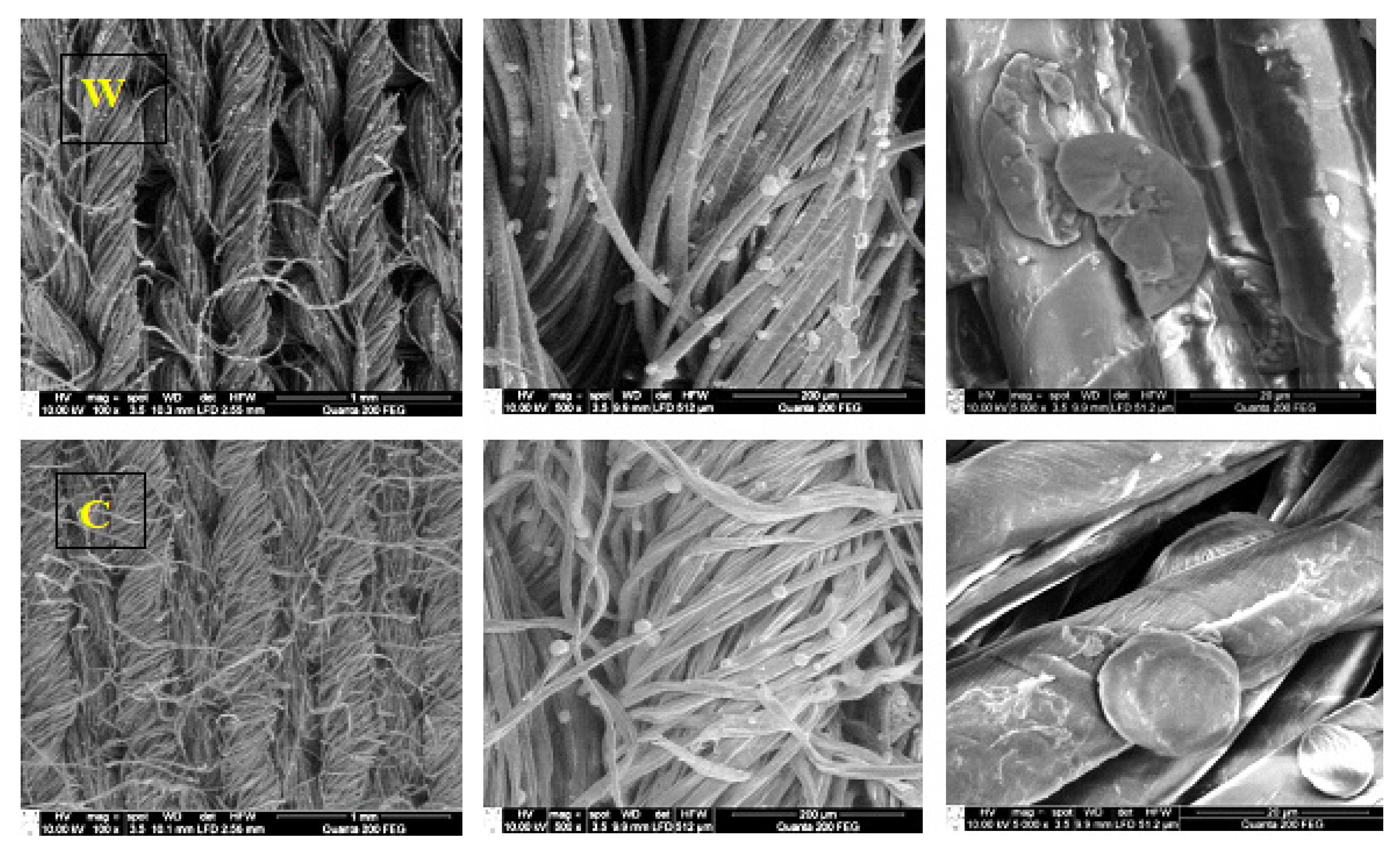 Materials 15 07147 g003 Materials 15 07147 g003