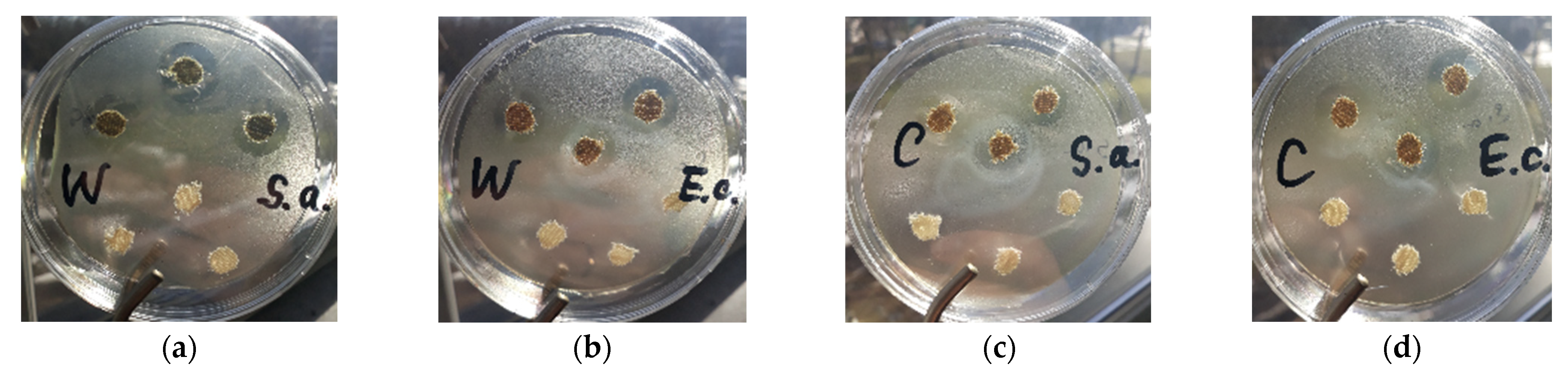 Materials 15 07147 g005 Materials 15 07147 g005