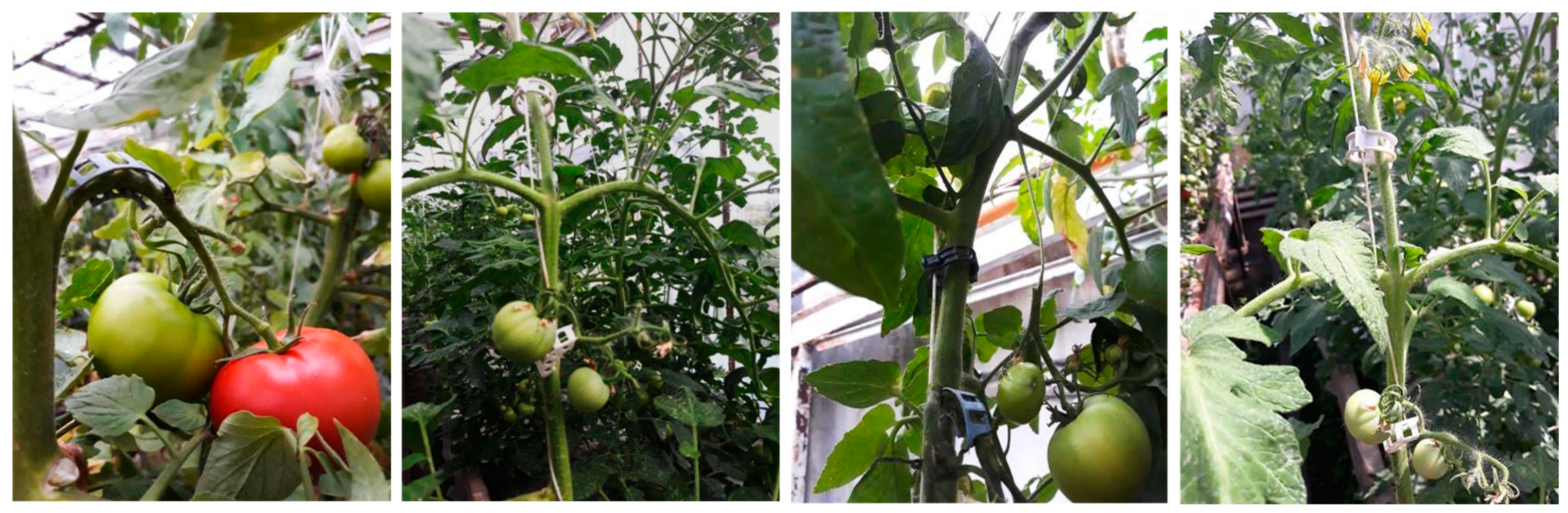 Materials 15 07205 g005