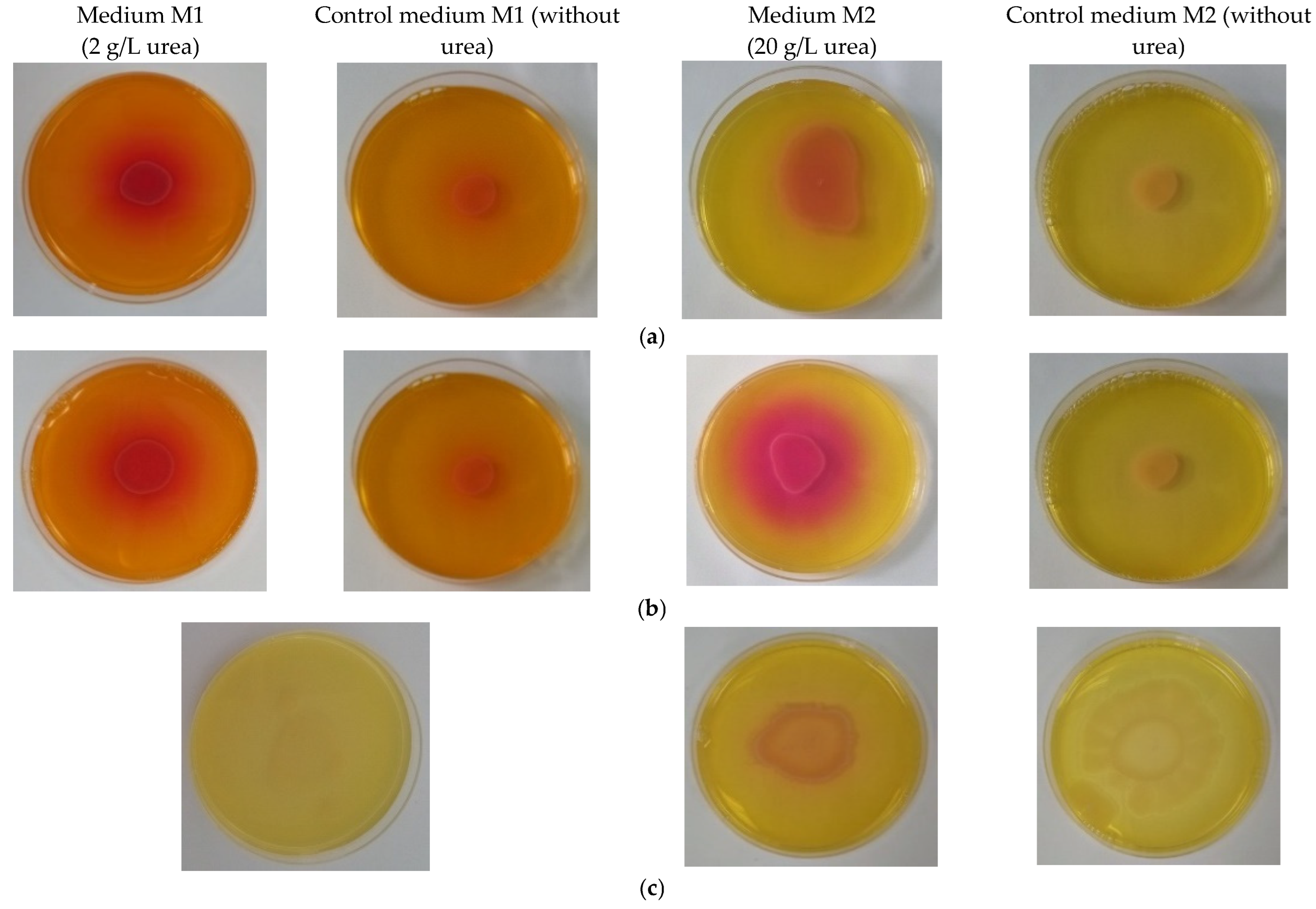 Materials 15 07259 g003 Materials 15 07259 g003