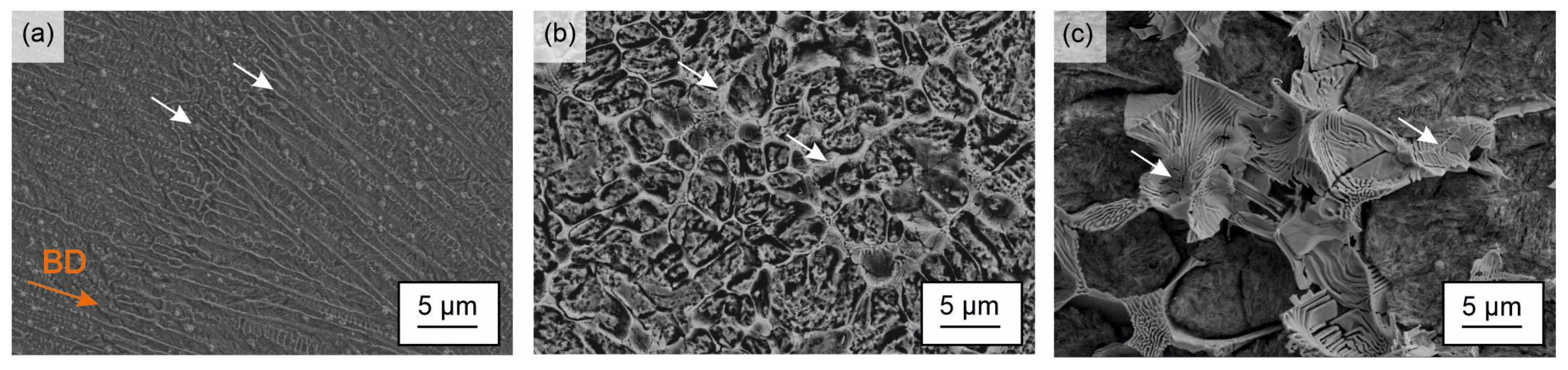 Materials 15 07266 g001