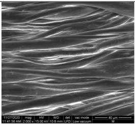 Materials 15 07286 i001