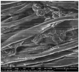 Materials 15 07286 i002