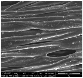 Materials 15 07286 i004