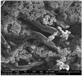 Materials 15 07286 i005