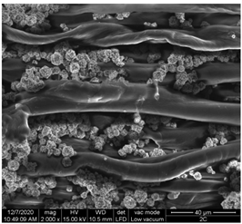 Materials 15 07286 i006