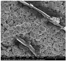 Materials 15 07286 i008