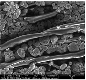 Materials 15 07286 i010