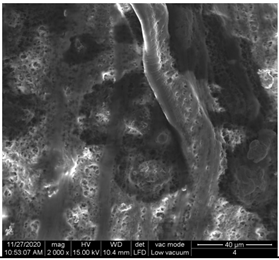 Materials 15 07286 i011