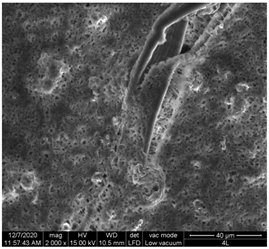 Materials 15 07286 i013