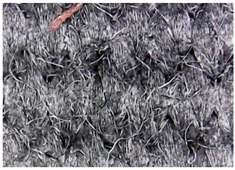 Materials 15 07286 i017