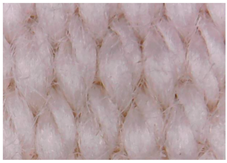 Materials 15 07286 i022