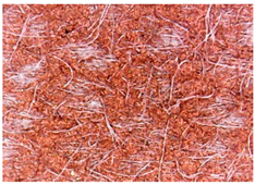 Materials 15 07286 i023