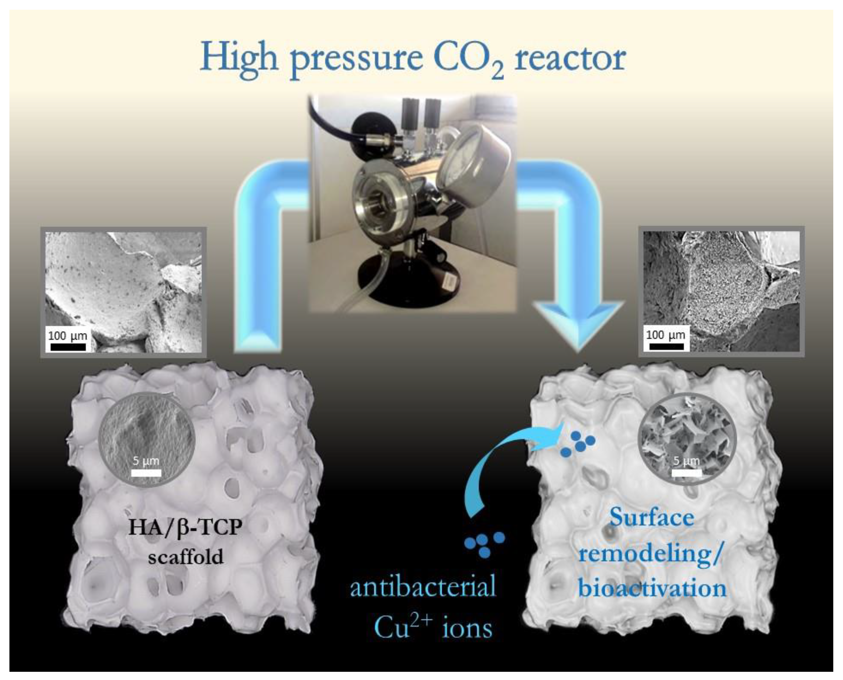 Materials 15 07306 g001 Materials 15 07306 g001