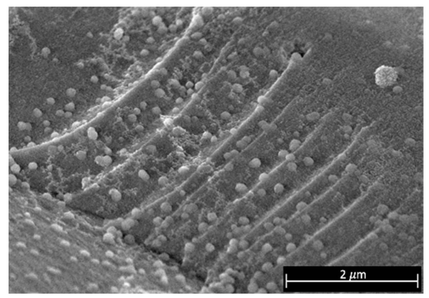 Materials 15 07307 g005