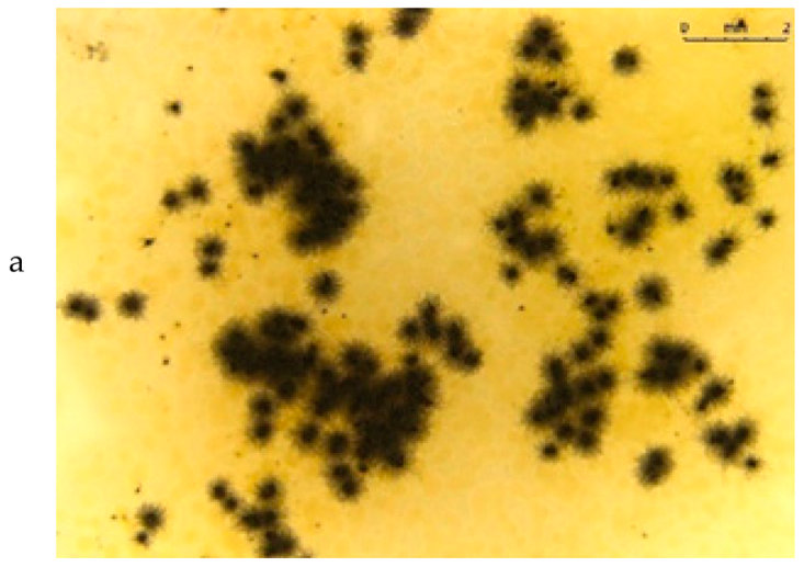 Materials 15 07382 i001