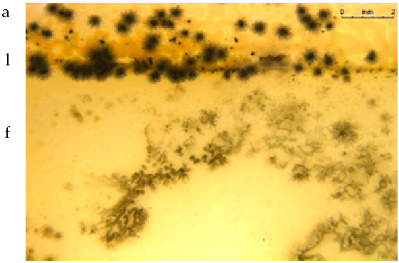 Materials 15 07382 i002