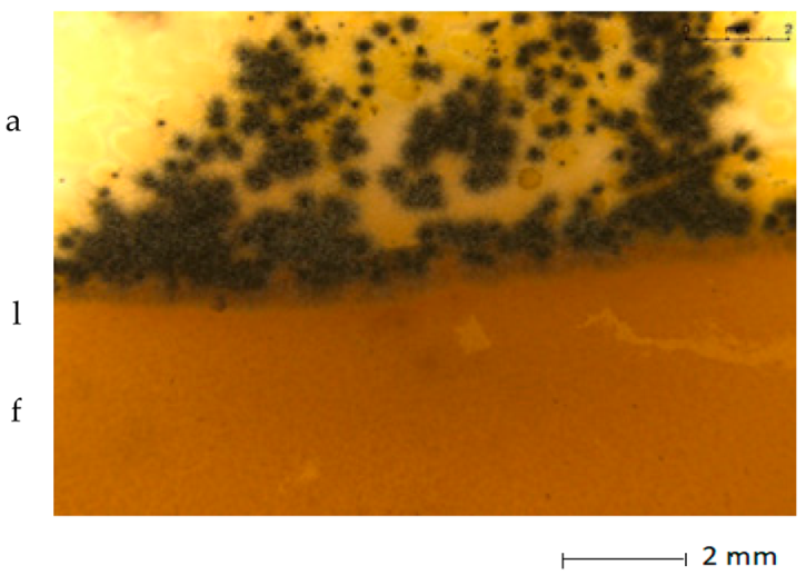 Materials 15 07382 i003