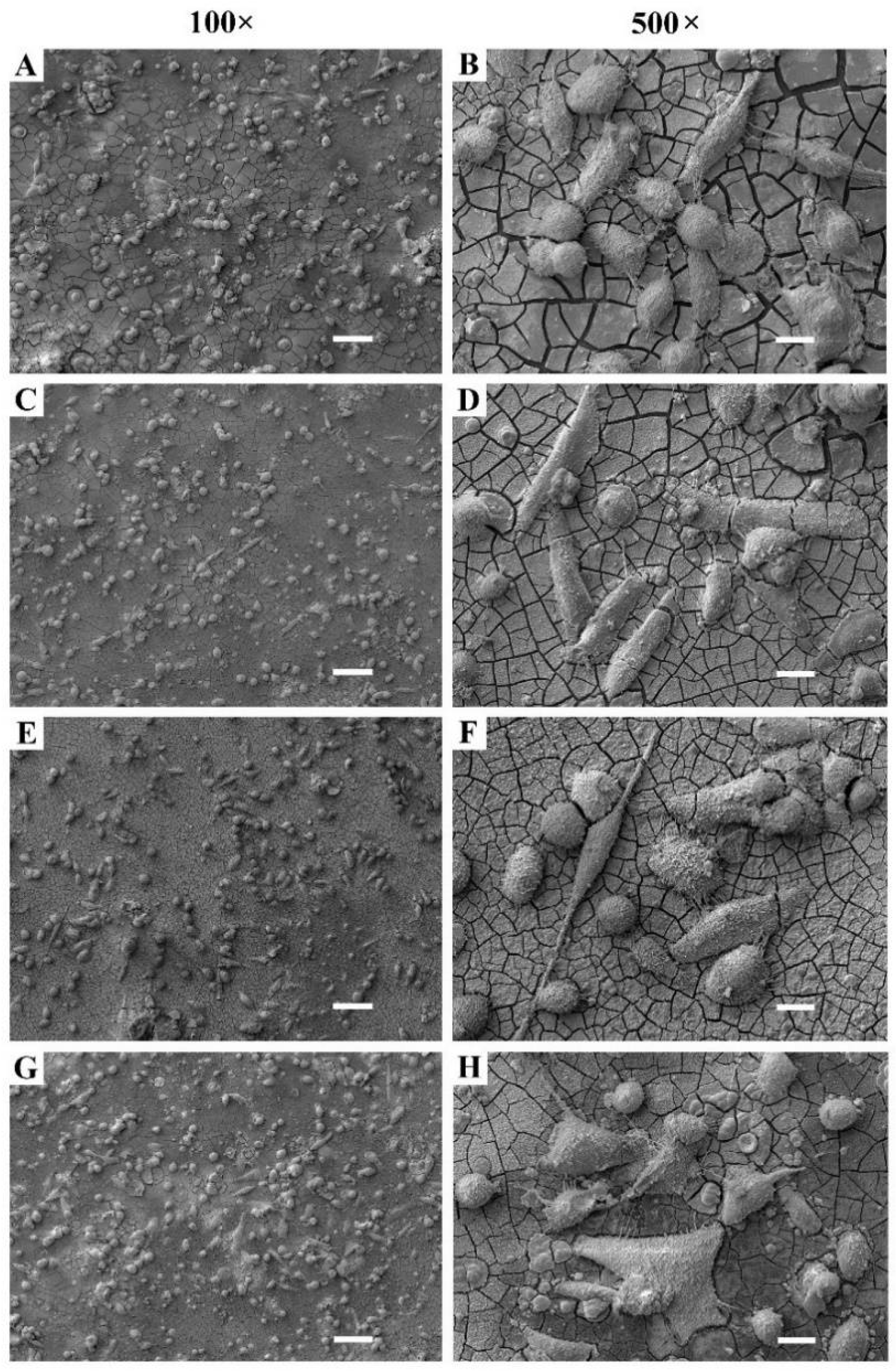 Materials 15 07405 g008 Materials 15 07405 g008