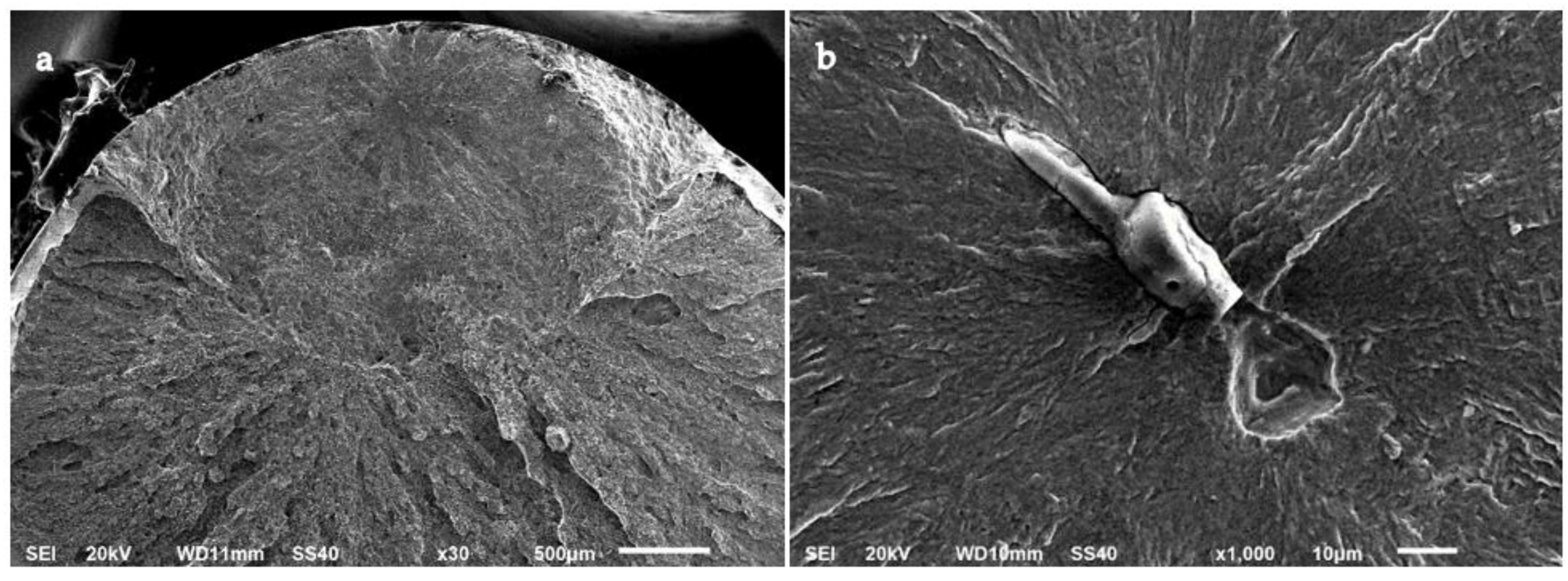 Materials 15 07411 g012