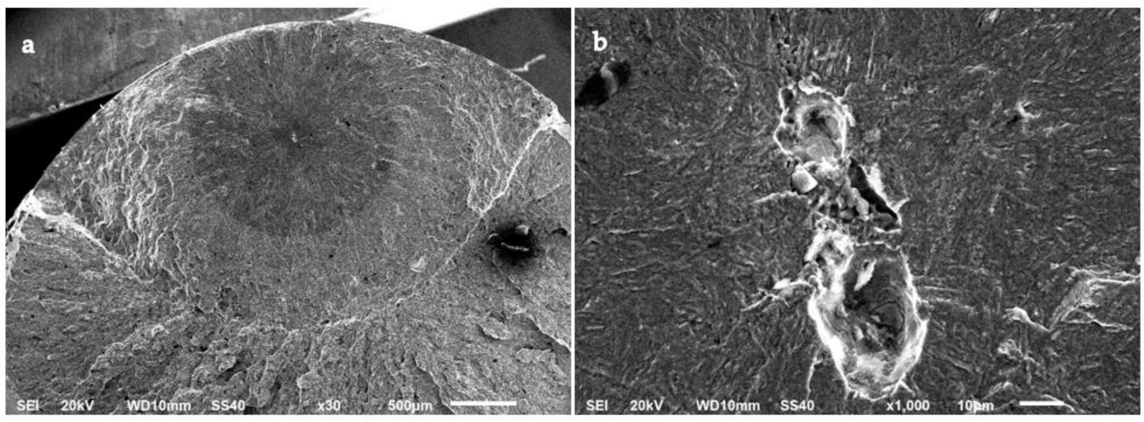 Materials 15 07411 g013