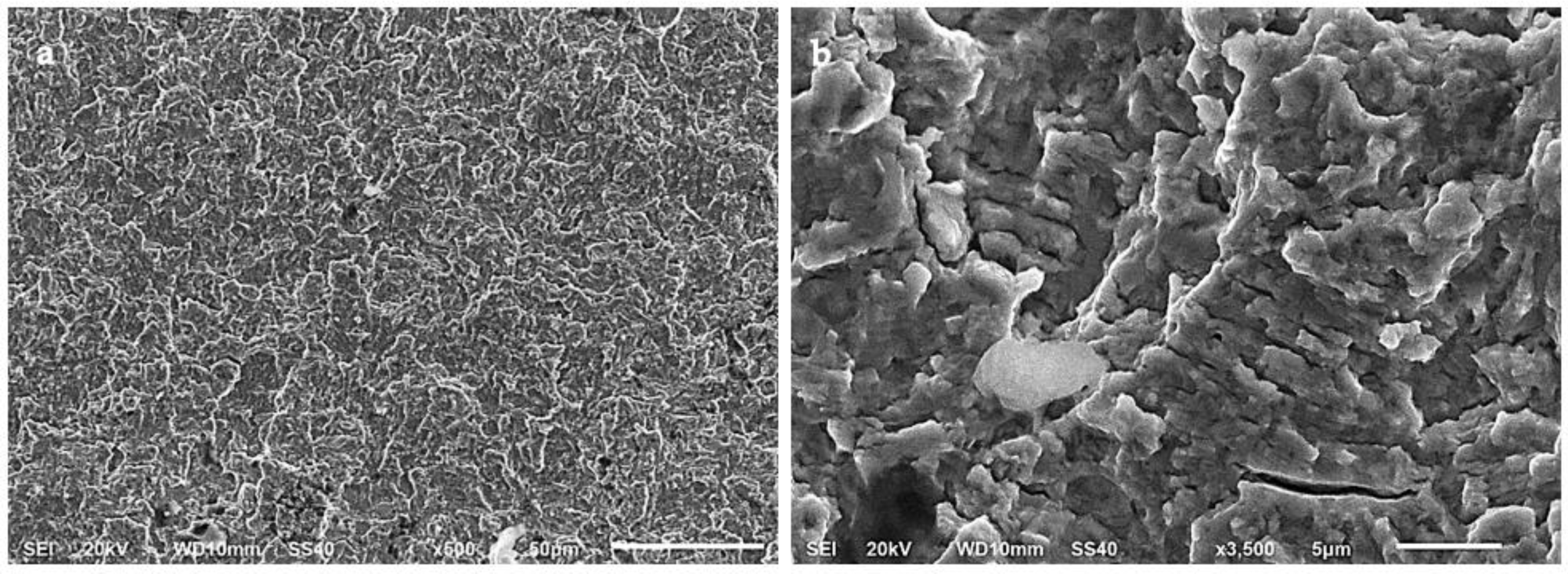 Materials 15 07411 g015