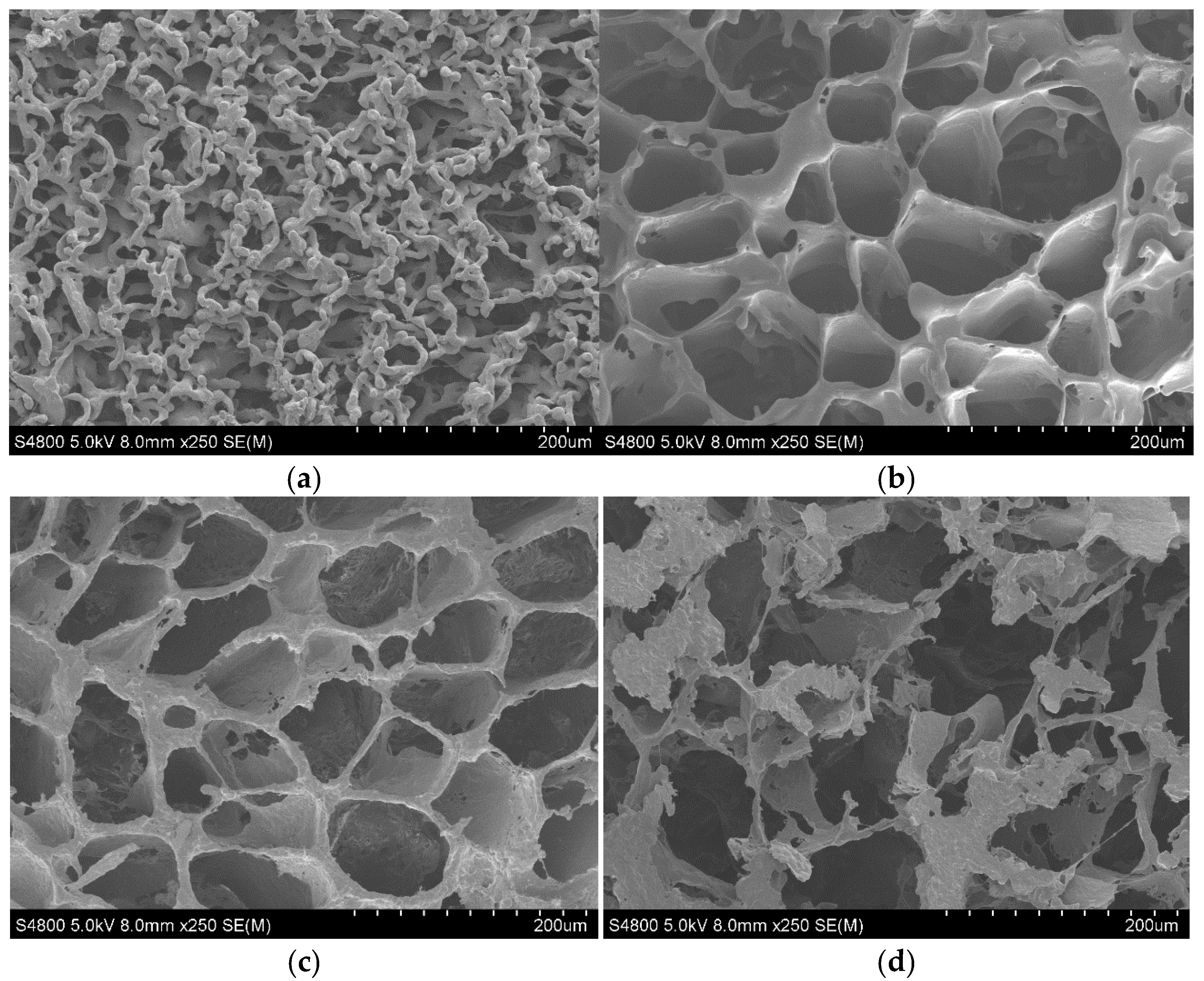 Materials 15 07436 g002