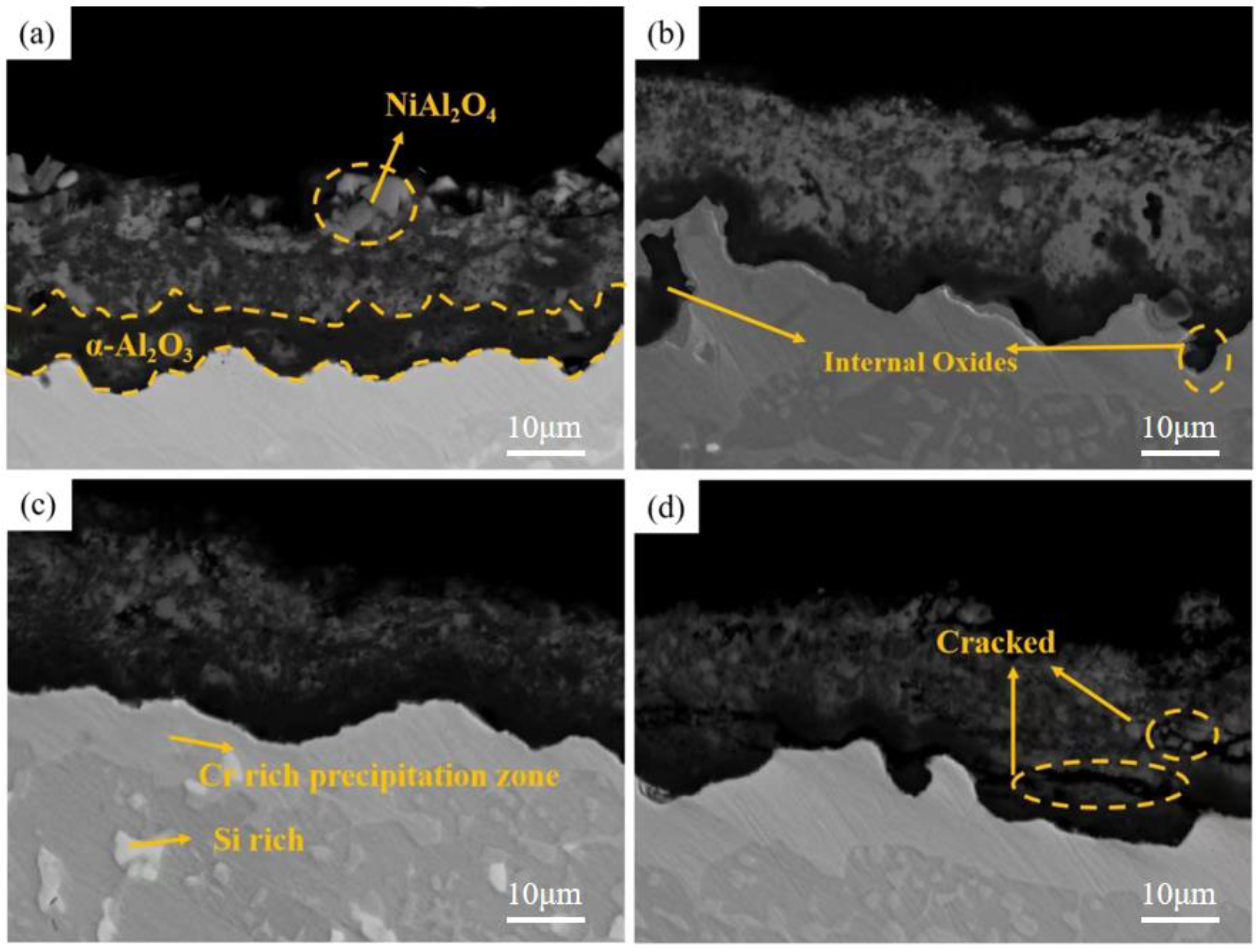 Materials 15 07440 g010