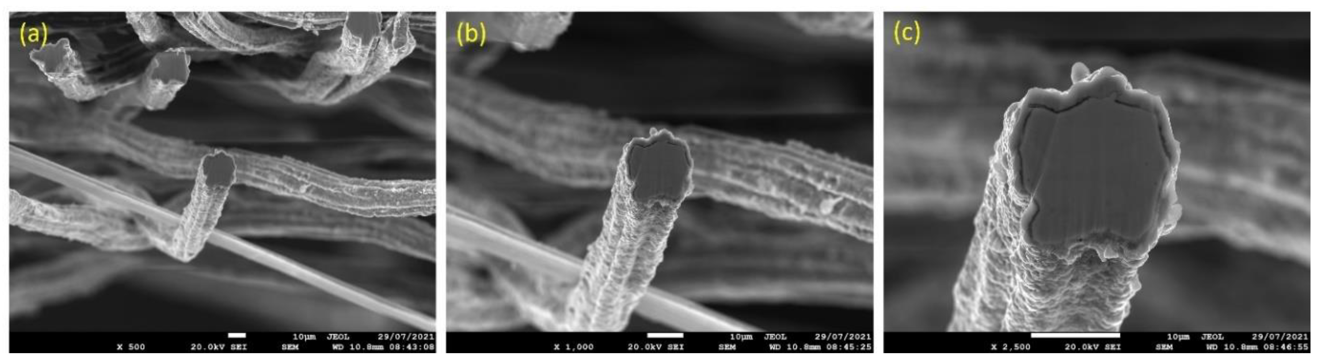 Materials 15 07444 g006