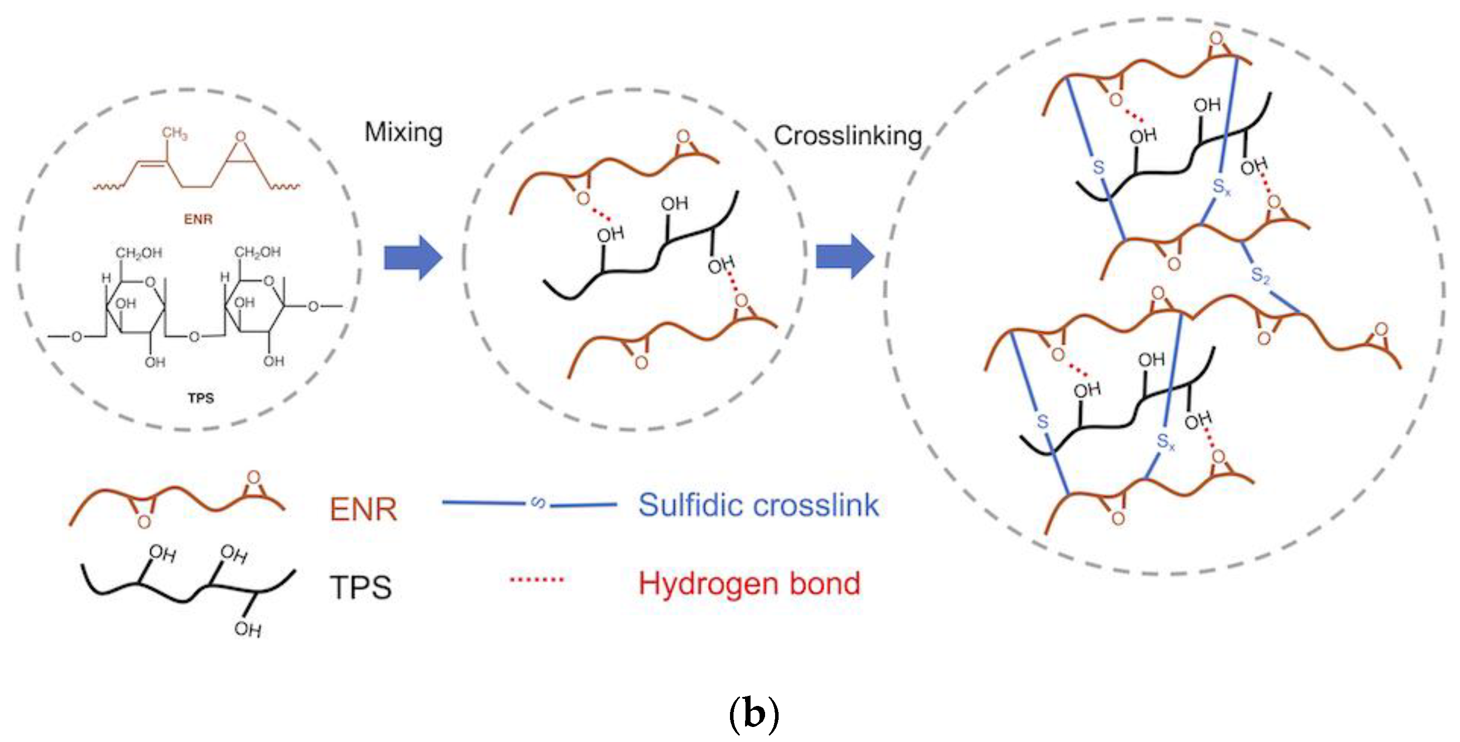 Materials 15 07478 g001b