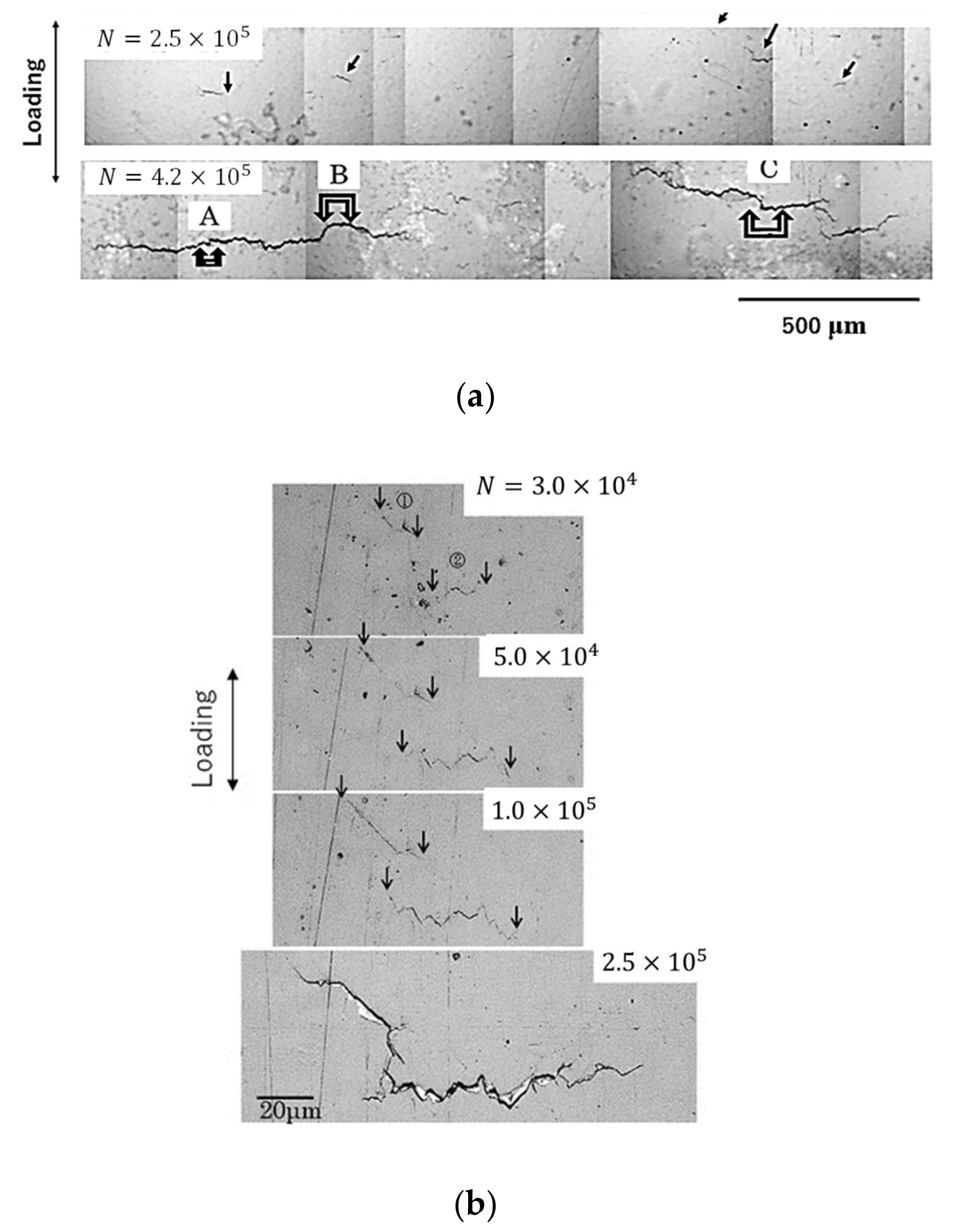 Materials 15 07488 g007