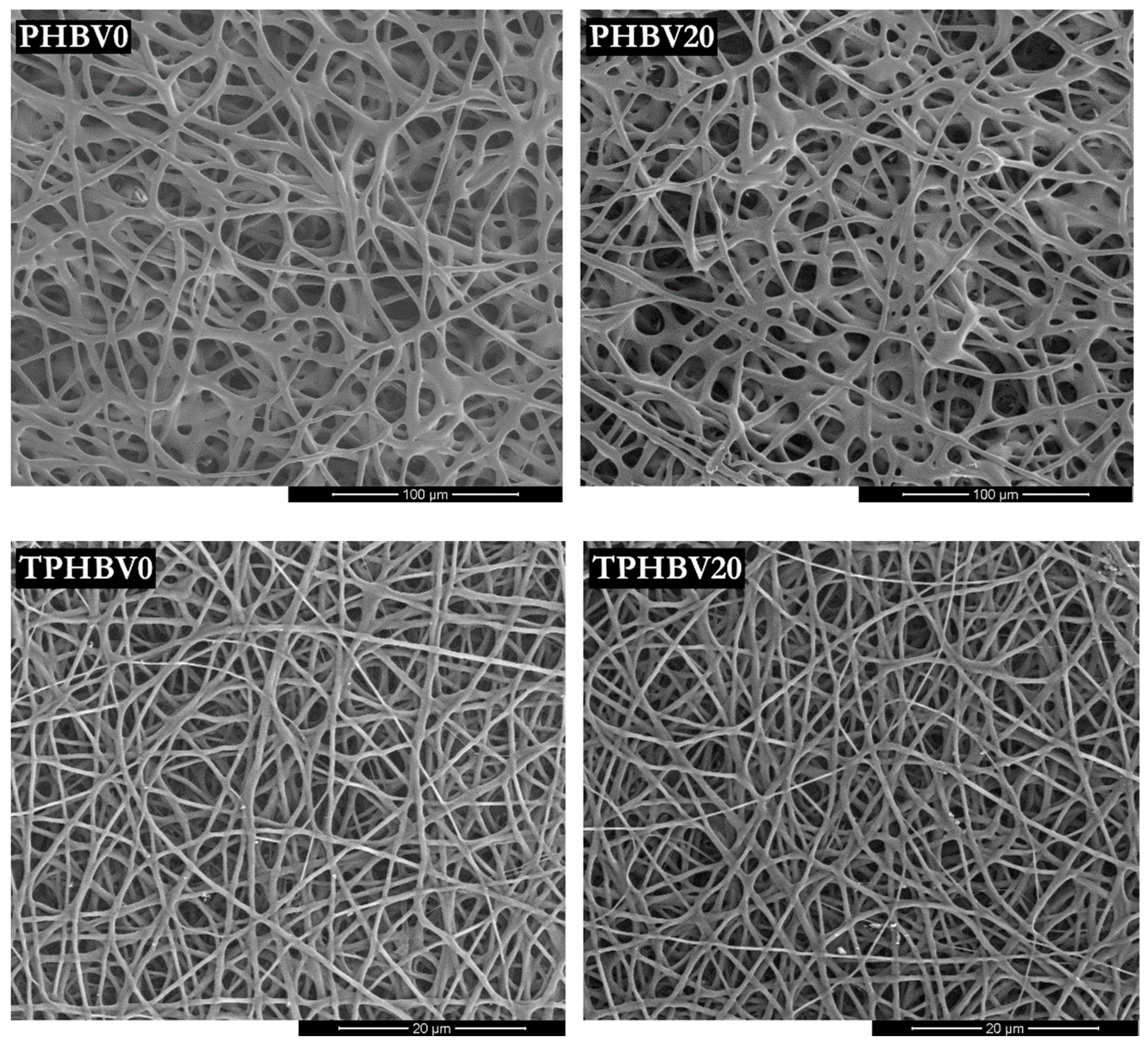 Materials 15 07494 g003 Materials 15 07494 g003