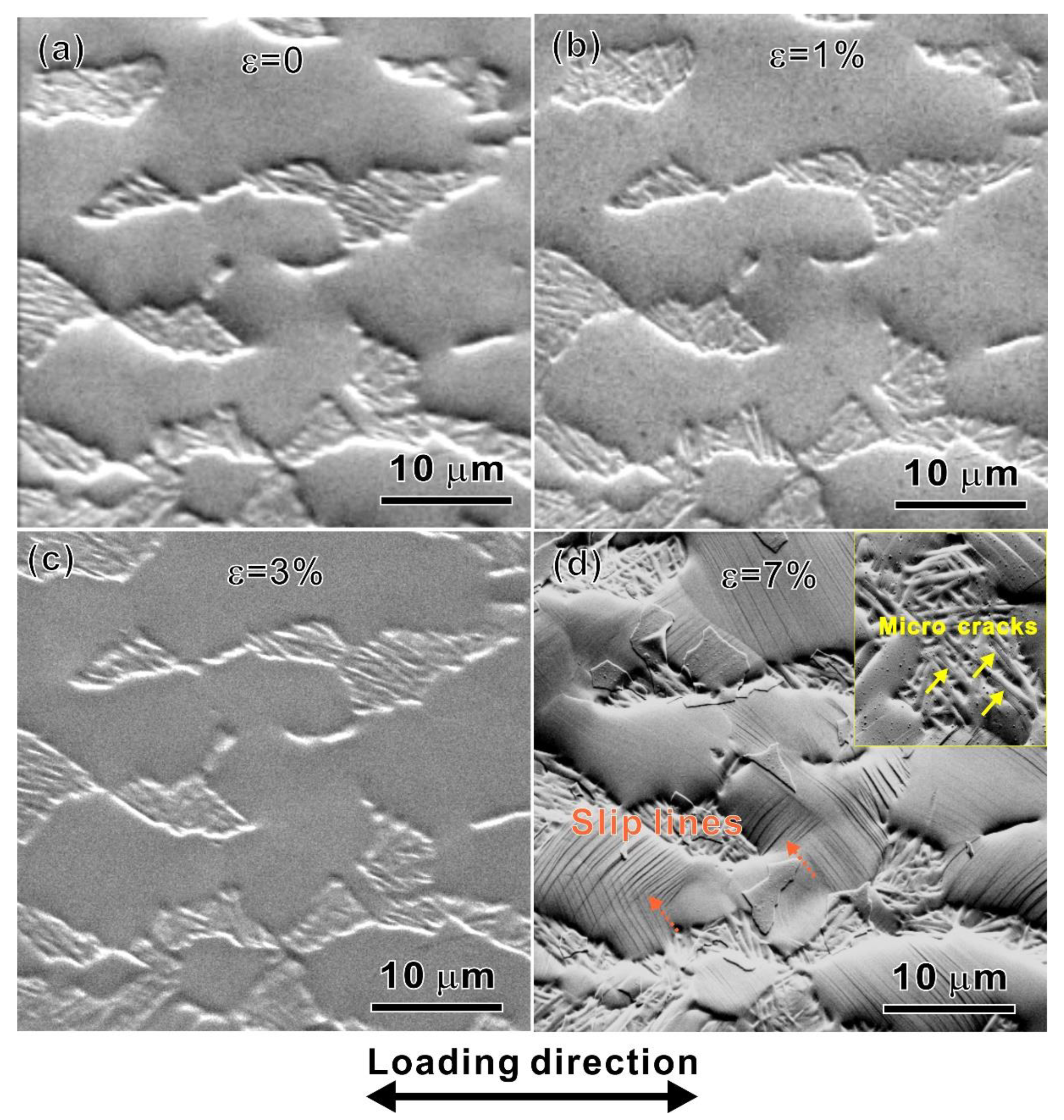 Materials 15 07504 g010