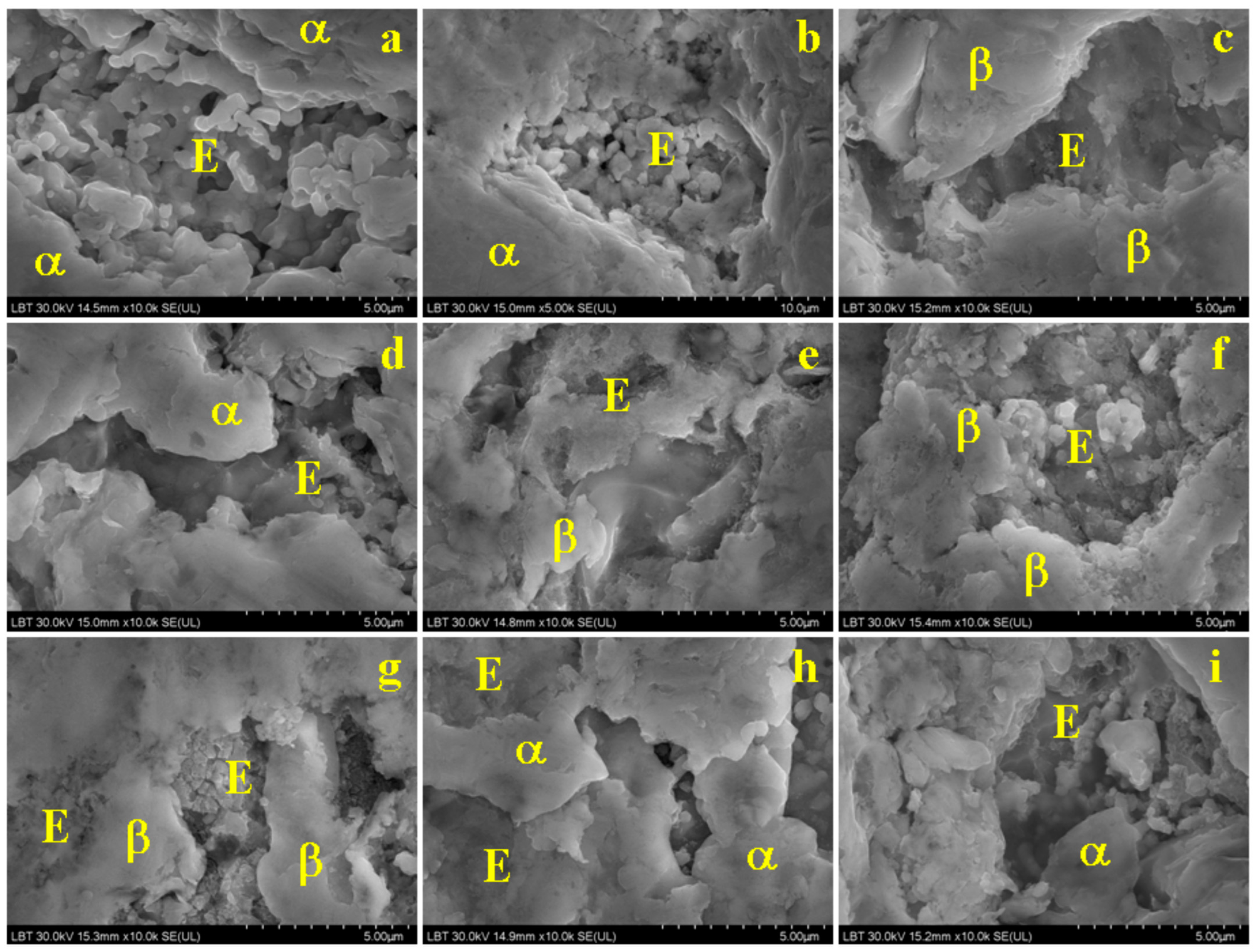 Materials 15 07514 g007