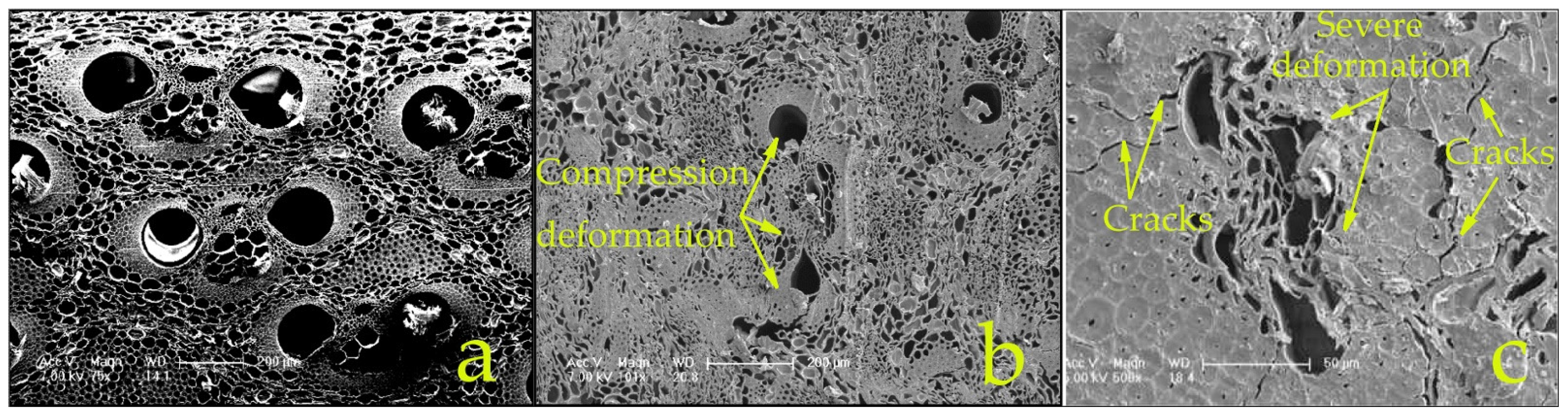 Materials 15 07518 g008