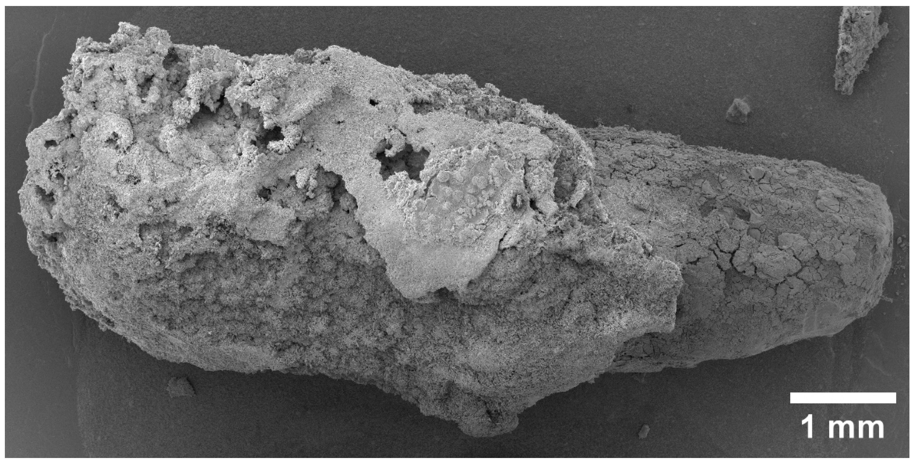 Materials 15 07529 g001