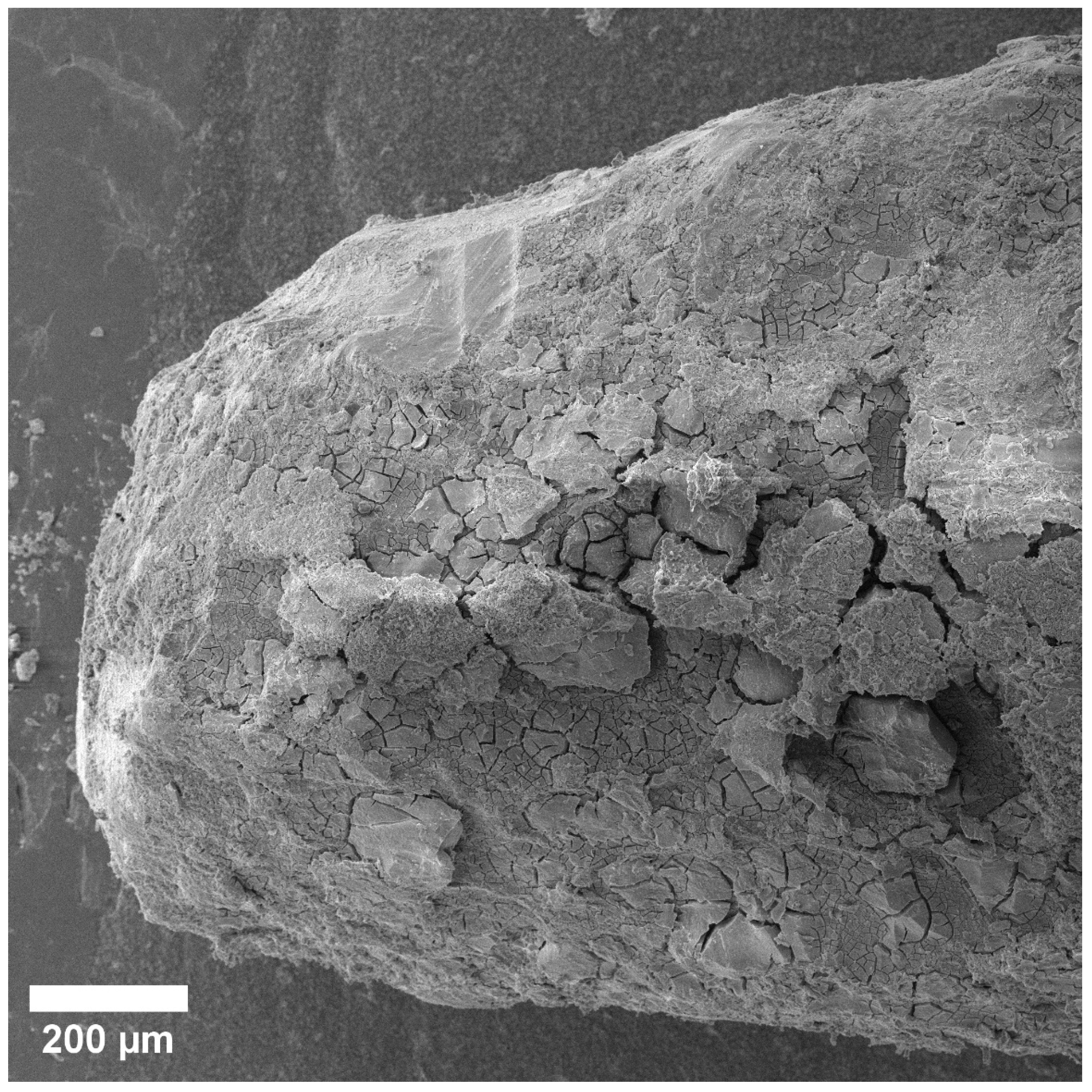 Materials 15 07529 g002