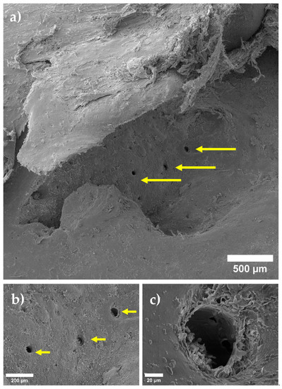 Materials 15 07529 g003