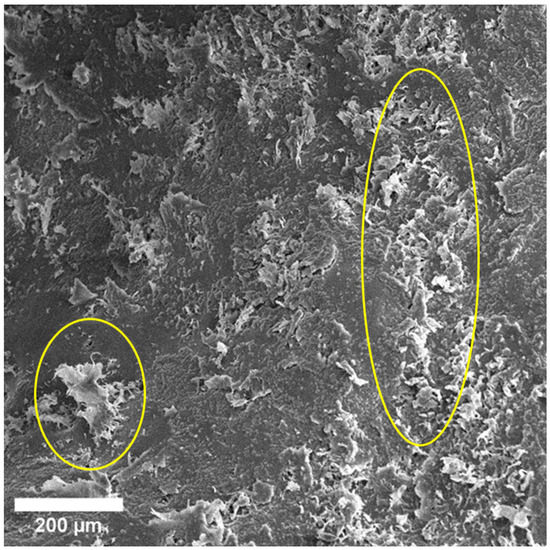 Materials 15 07529 g004