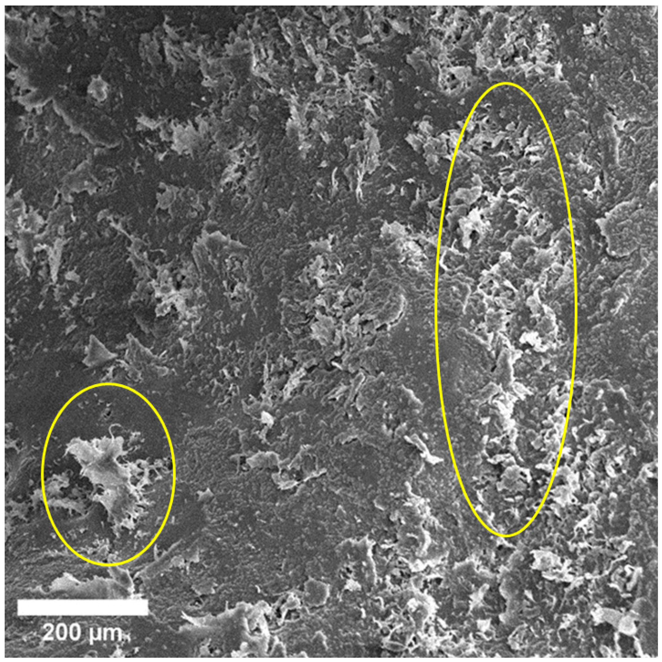 Materials 15 07529 g004