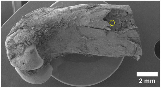 Materials 15 07529 g005