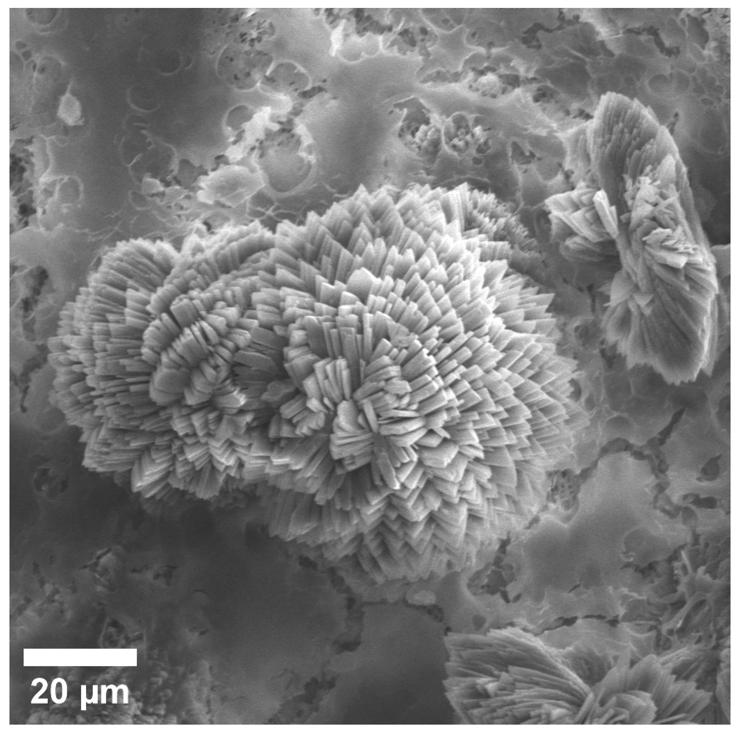 Materials 15 07529 g009