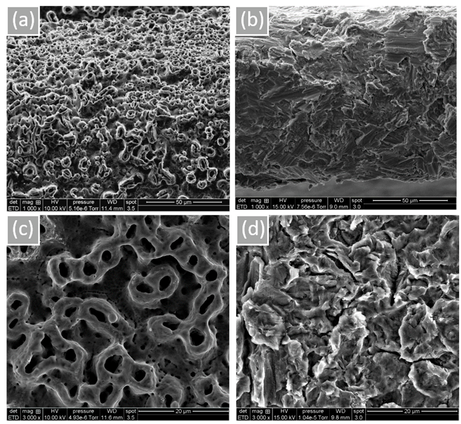 Materials 15 07540 g001