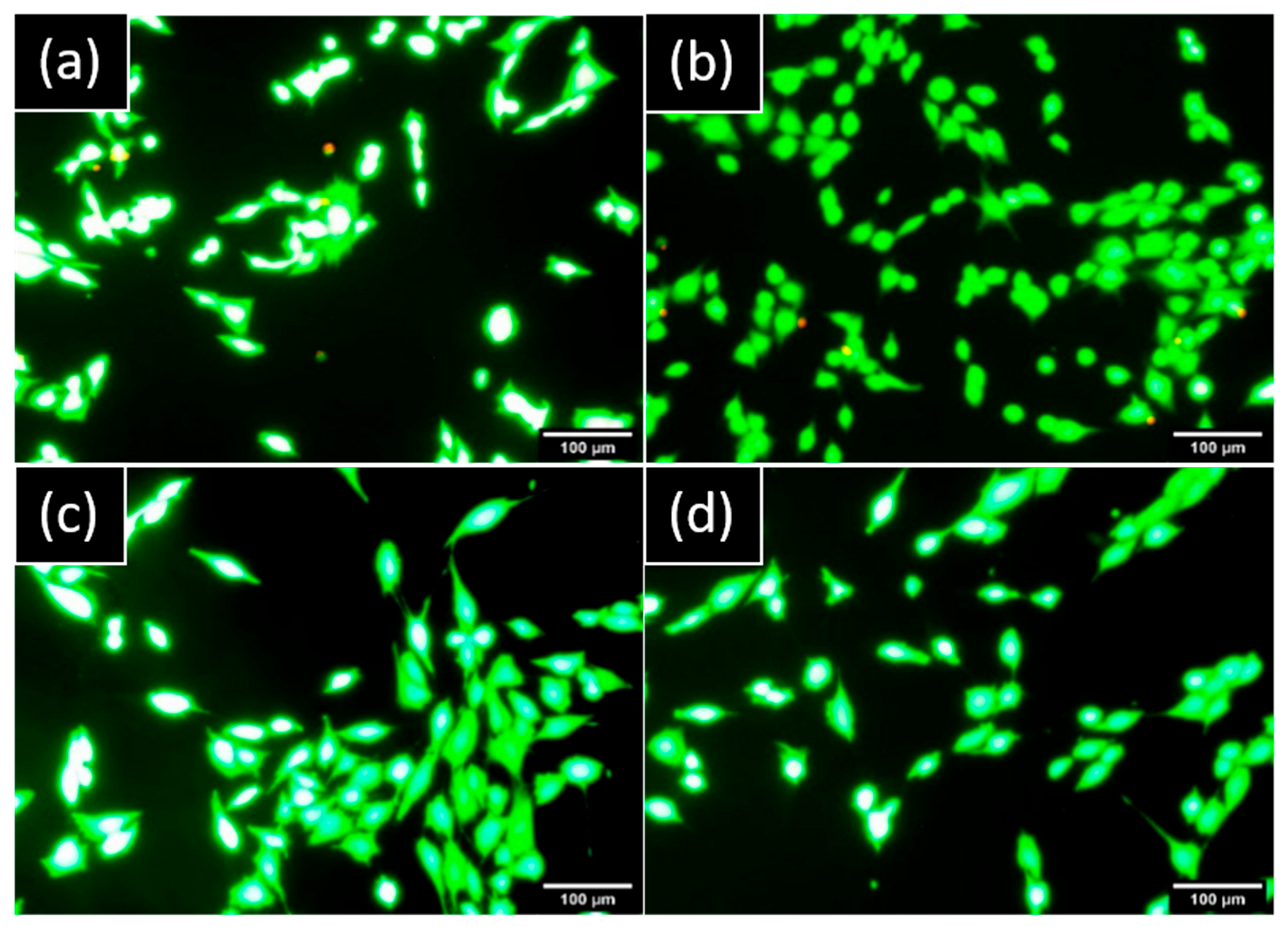 Materials 15 07540 g004