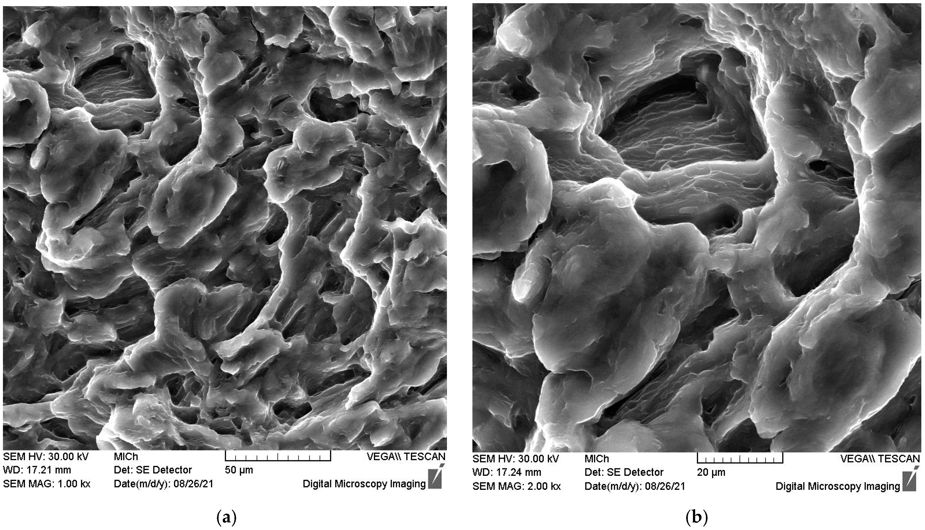 Materials 15 07541 g019