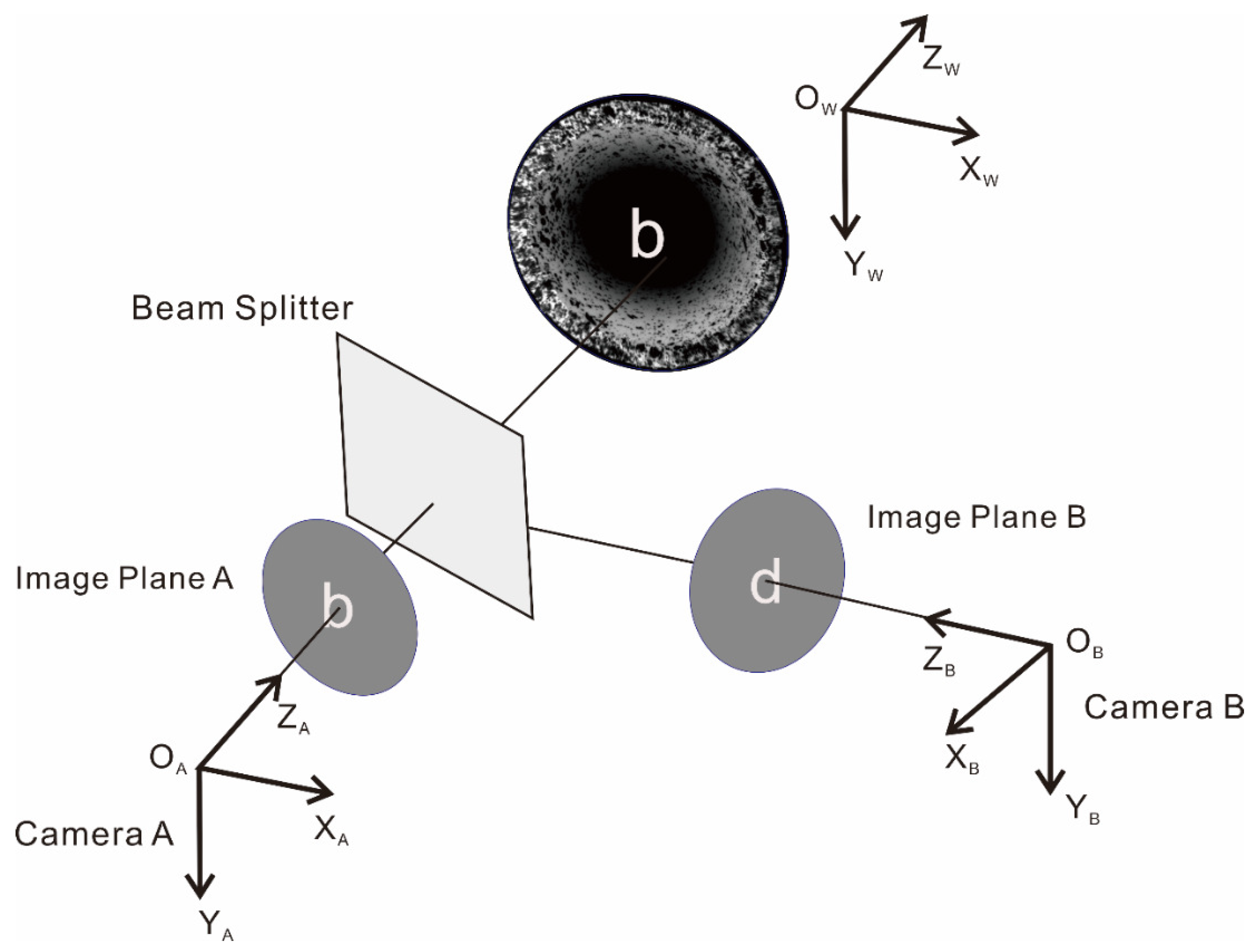 Materials 15 07543 g006