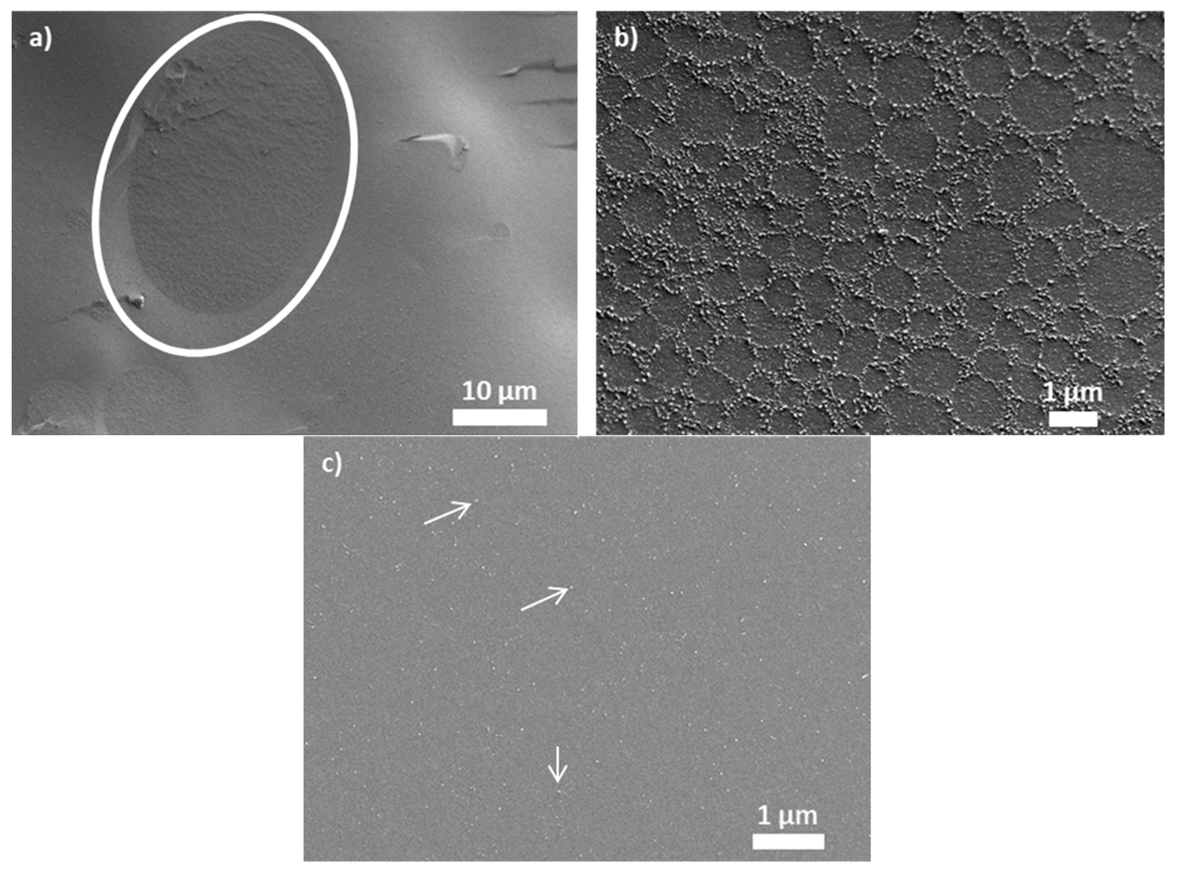 Materials 15 07551 g007