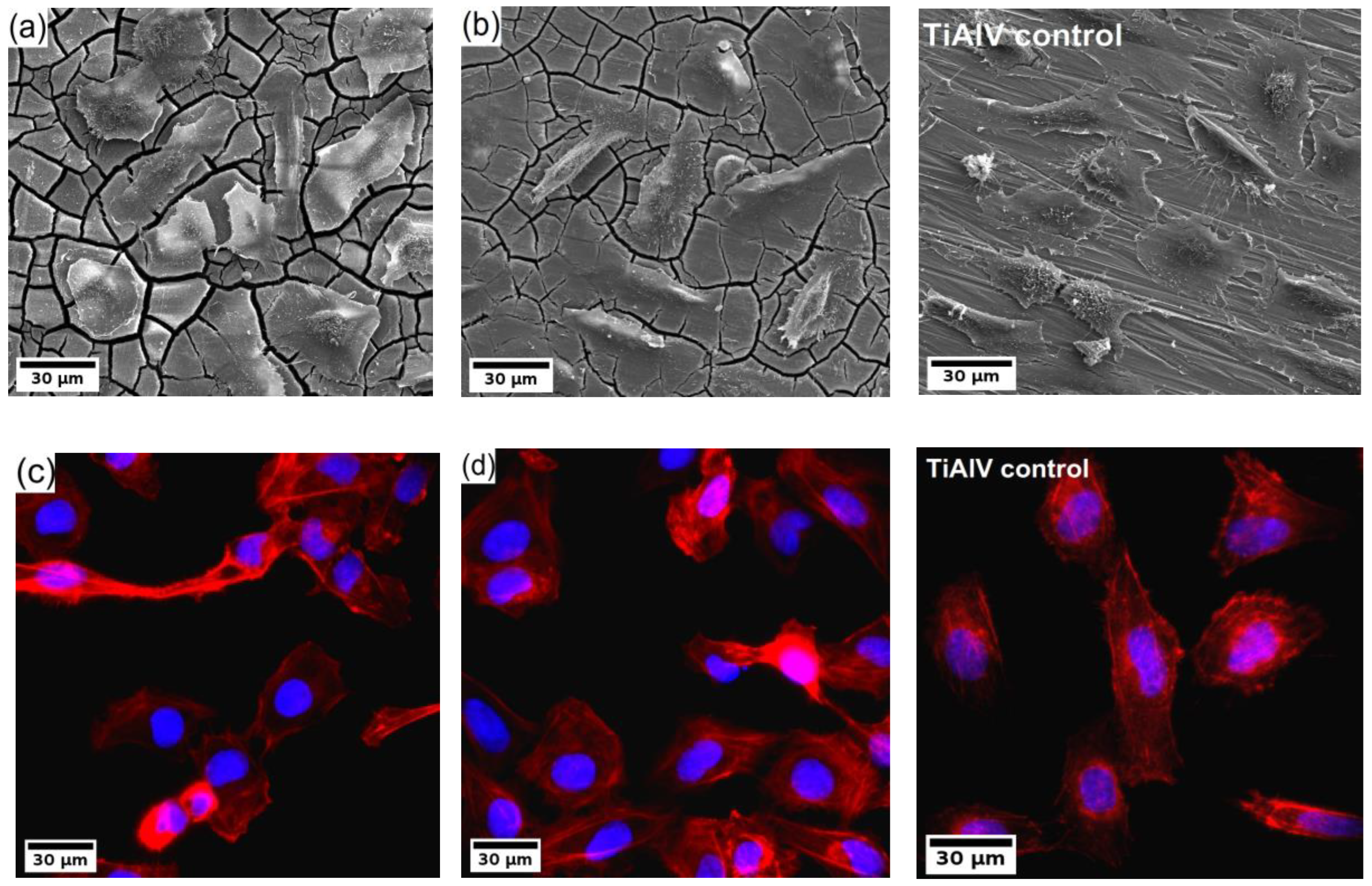 Materials 15 07571 g006